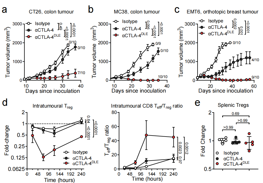Fc enhanced anti CTLA-4 antibody Botensilimab treats tumors that respond poorly to conventional immunotherapy